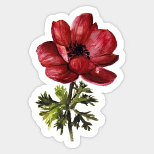 Red Anemone Flower Sticker